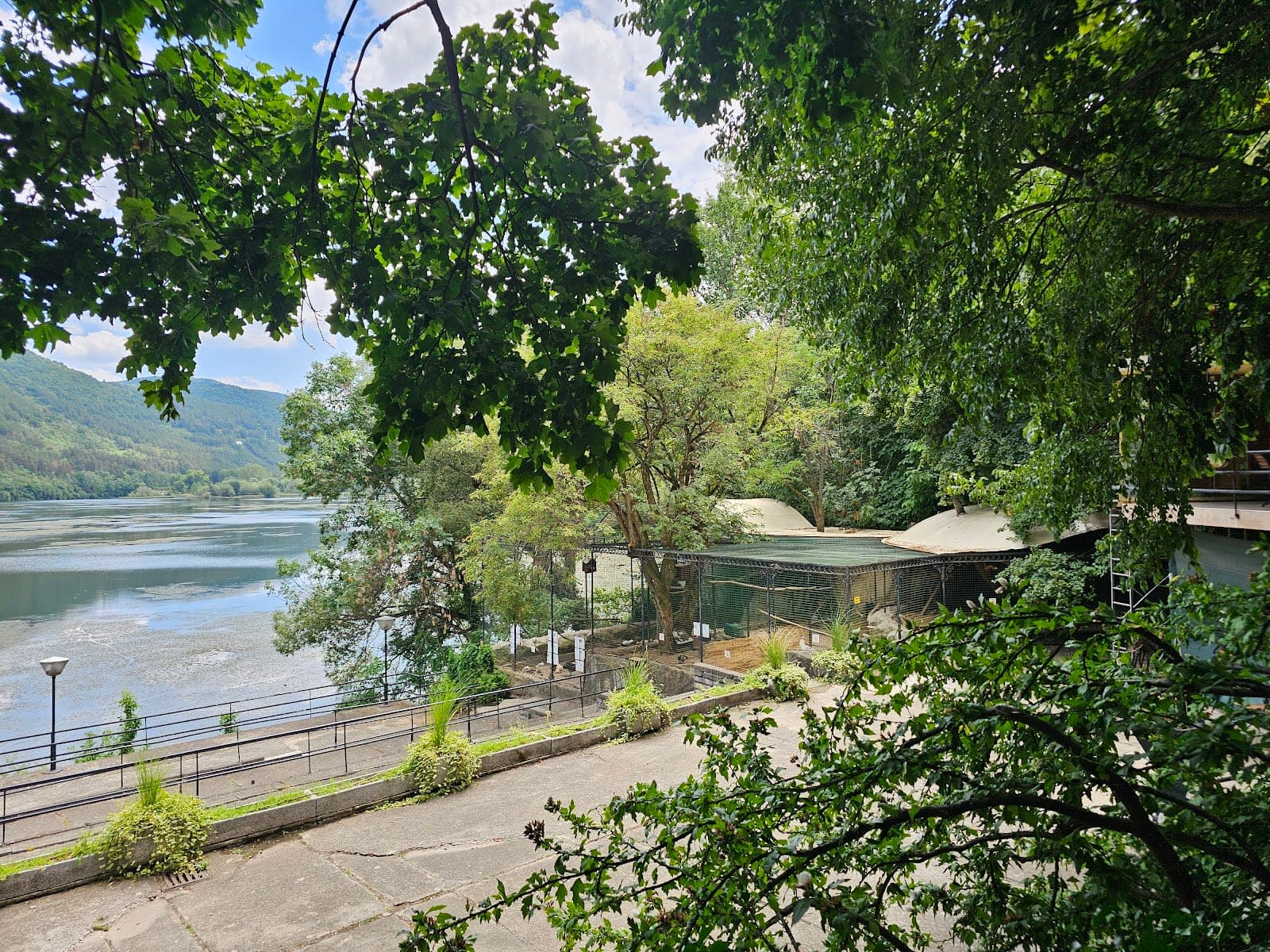 Restaurant "Swan" 4